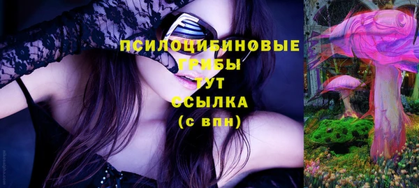 винт Наволоки